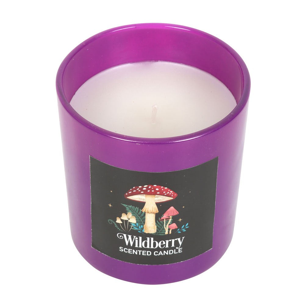 Forest Mushroom Wildberry Fragranced Glass Candle