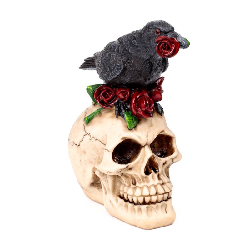 Crow On A Skull And Books