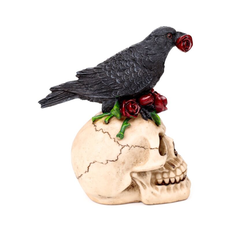 Crow On A Skull And Books