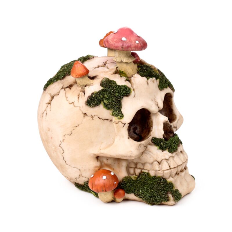 Skull With Mushrooms And Moss
