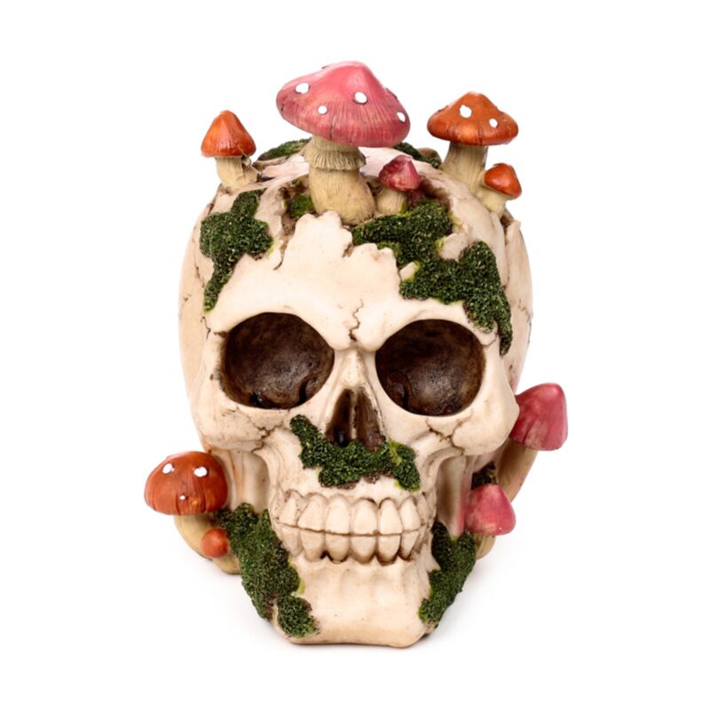 Skull With Mushrooms And Moss