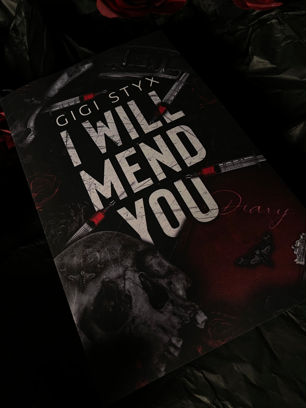 I Will Mend You, by Gigi Styx (softback, english edition)