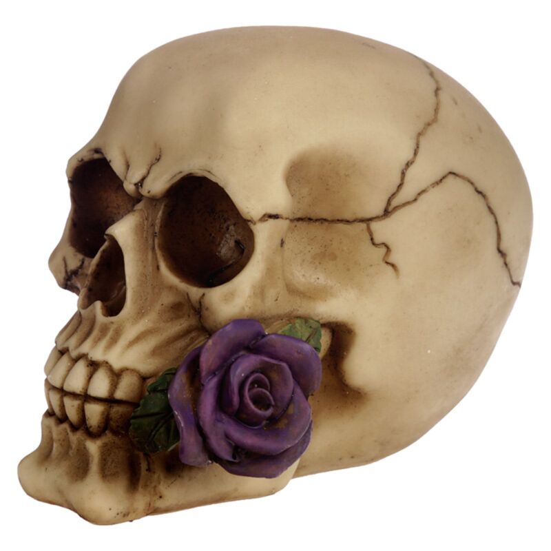 Skull & Bones With Single Purple Rose