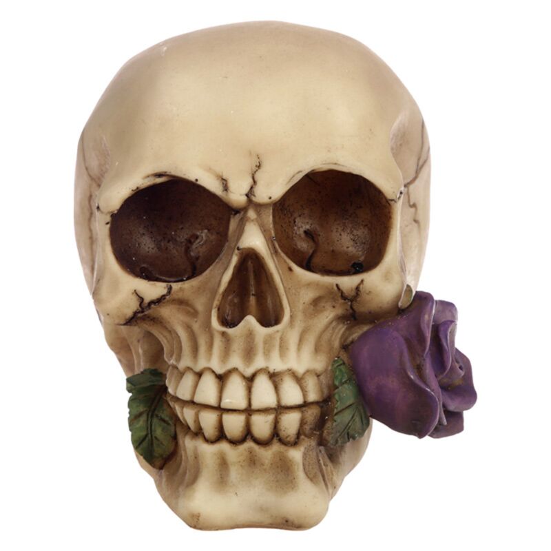 Skull & Bones With Single Purple Rose