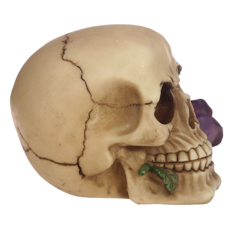 Skull & Bones With Single Purple Rose