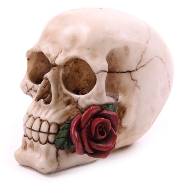 Skull With Single Rose