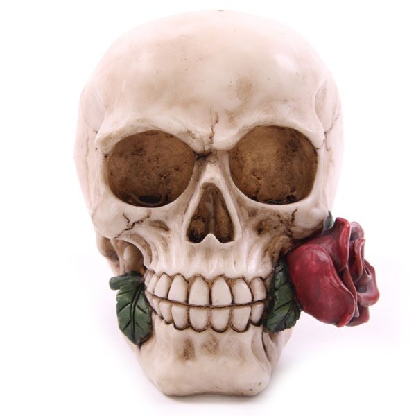 Skull With Single Rose