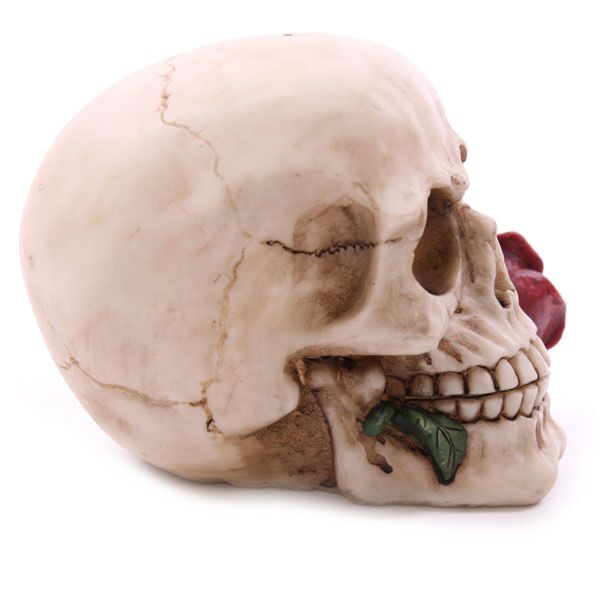 Skull With Single Rose
