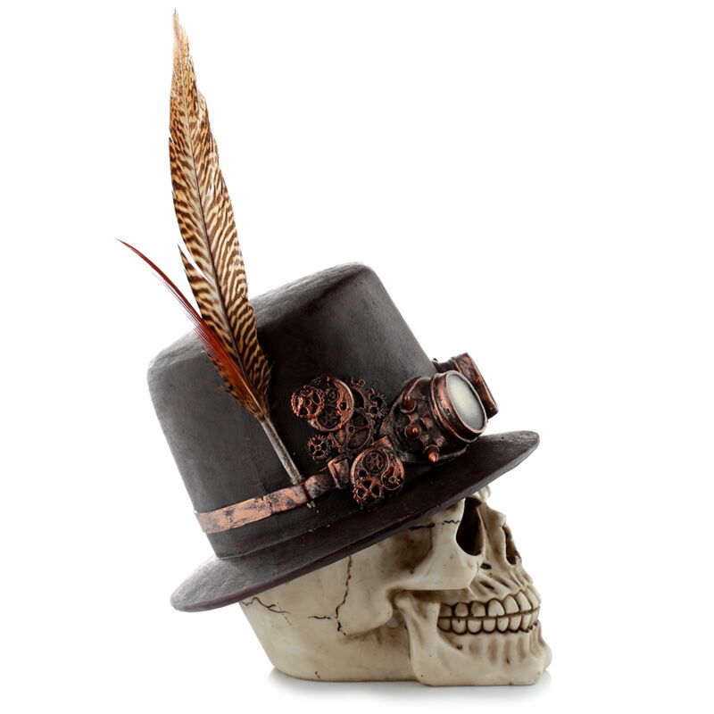 Steampunk Skull With Tophat And Feather