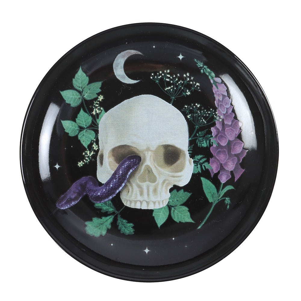 Venom & Vines Skull With Snake Ceramic Trinket Dish