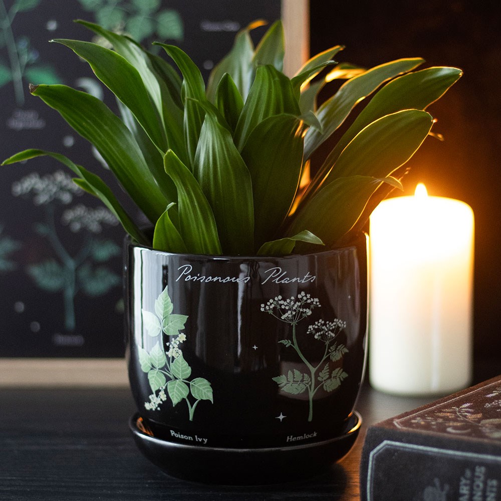 Venom & Vines Poisonous Plants Ceramic Plant Pot