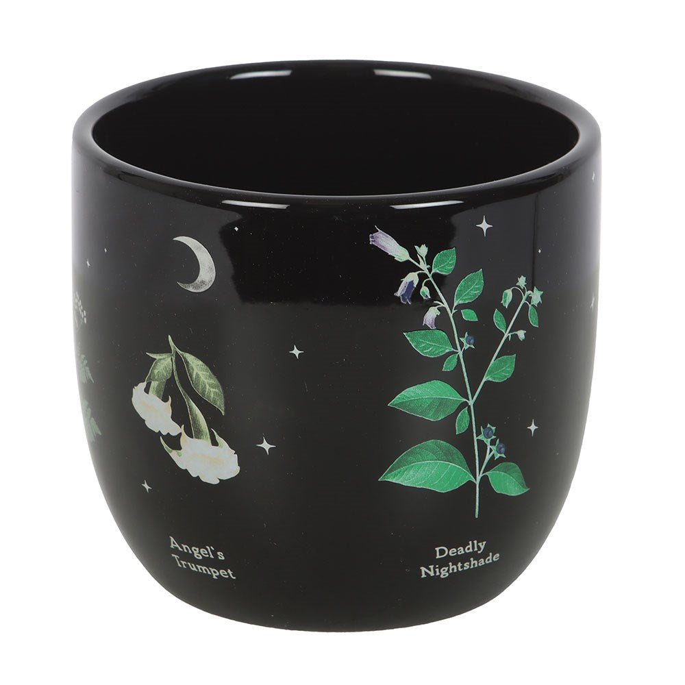 Venom & Vines Poisonous Plants Ceramic Plant Pot