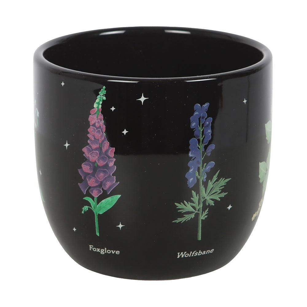 Venom & Vines Poisonous Plants Ceramic Plant Pot