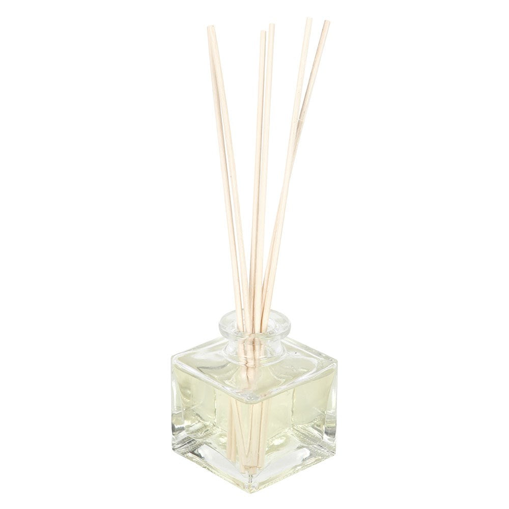 After Dark Walking Dead Anti Reed Diffuser